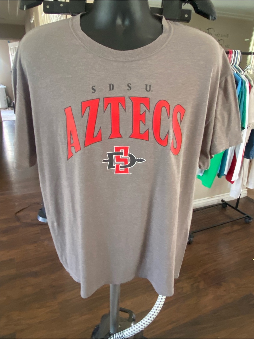 Champion Gray SDSU Aztecs Graphic Tee with Red Logo